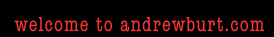 welcome to andrewburt.com